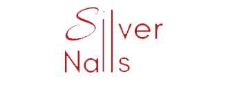 logo Silver Nails